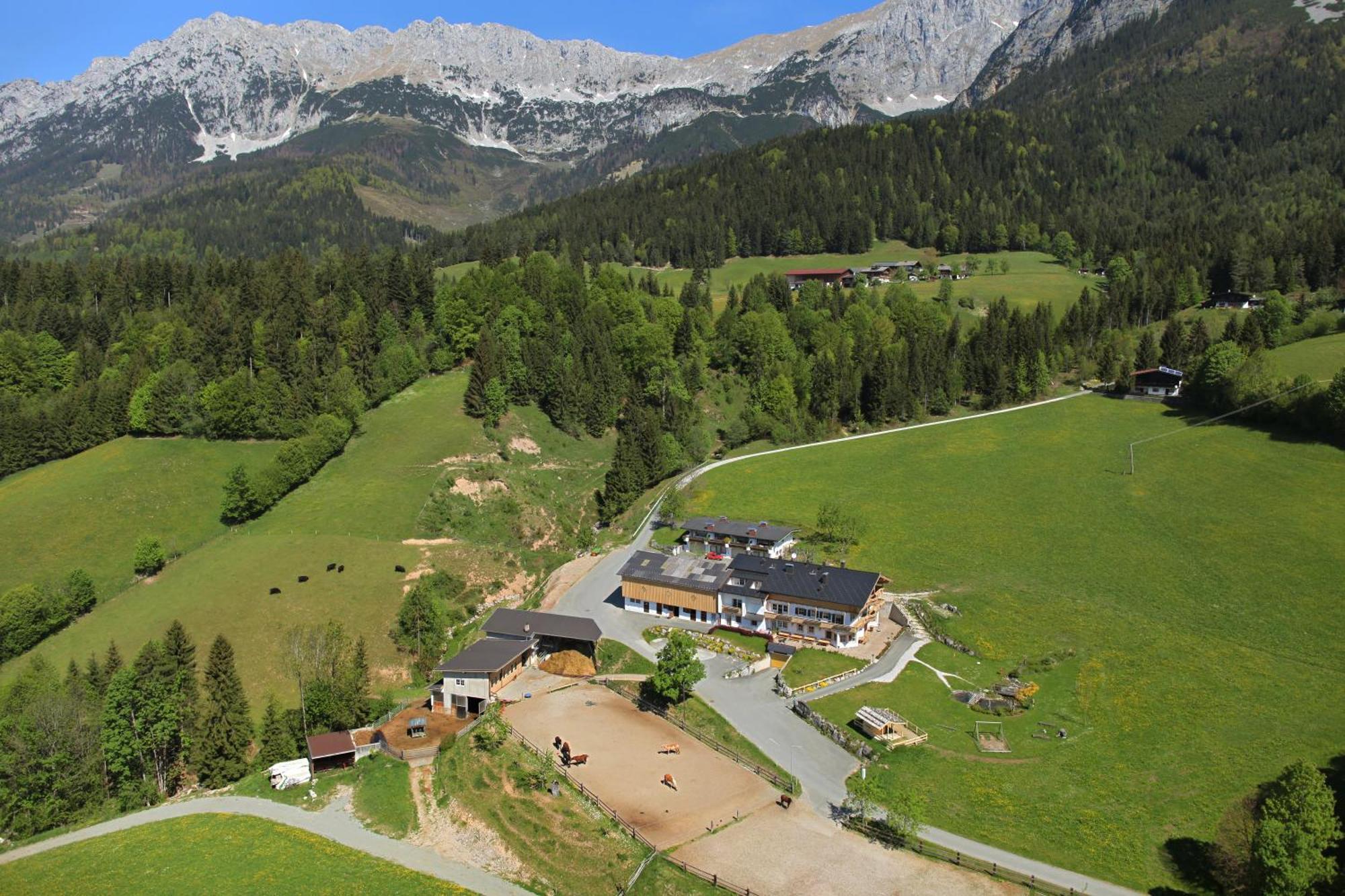 Grubhof Appartements Ellmau Bagian luar foto